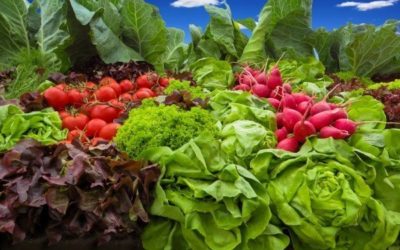 Leafy green vegetables fight inflammation