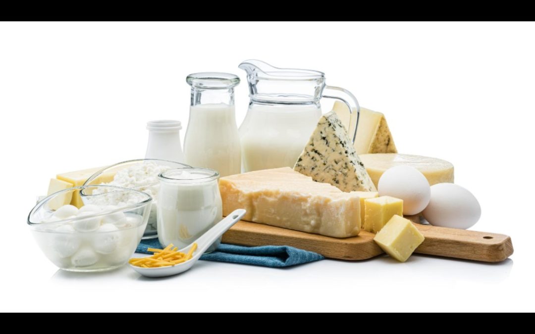 Variety of dairy foods